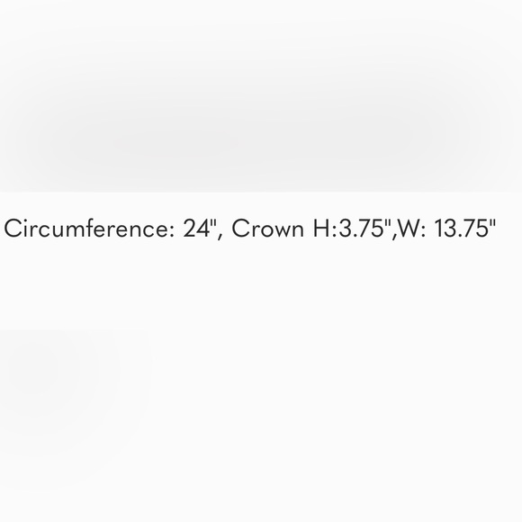 PANAMA BRIM HAT W/ Leopard strap!! - Picture 4 of 5